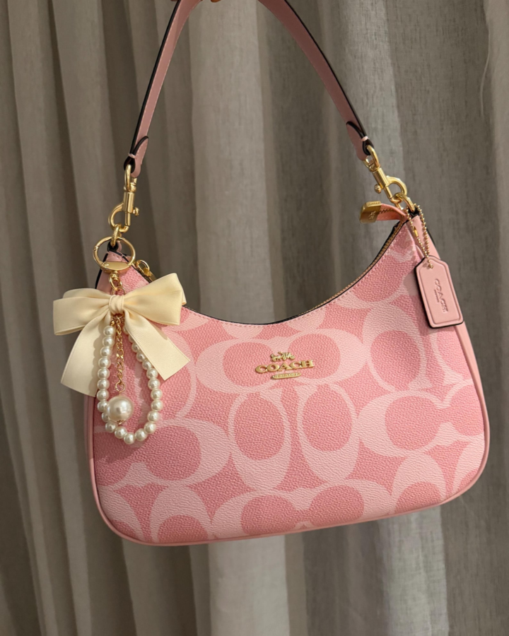 COACH Teri Hobo Signature Canvas Leather Pink Charms Pearl print bag Style Purse, Gift for Her Christmas